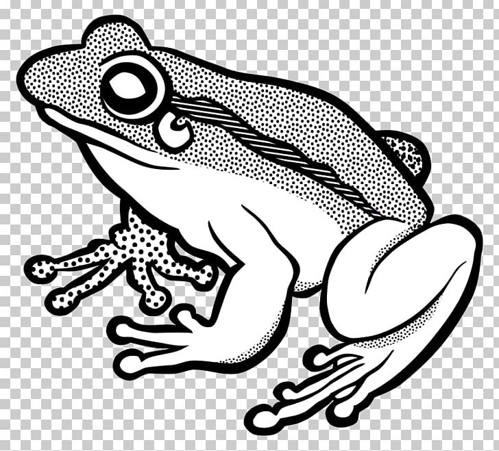Frog Line Art PNG, Clipart, Amphibian, Animals, Art, Artwork, Black Free PNG Download