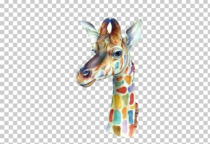 Giraffe Canvas Print Printing Printmaking PNG, Clipart, Art Museum, Canvas, Color, Colorful, Color Pencil Free PNG Download