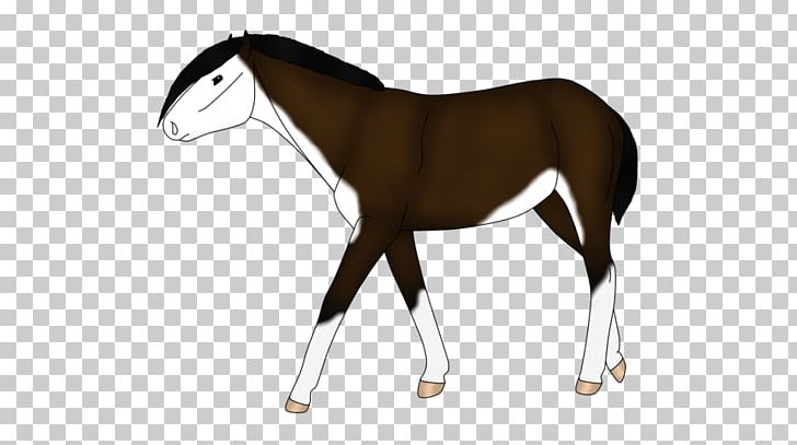 Mustang Foal Stallion Colt Mare PNG, Clipart, Bridle, Colt, Foal, Halter, Horse Free PNG Download