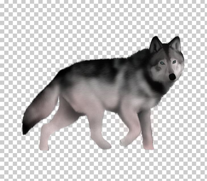 Saarloos Wolfdog Siberian Husky Czechoslovakian Wolfdog Sakhalin Husky Jämthund PNG, Clipart, Alaskan Husky, Carnivoran, Digital Image, Dog, Dog Breed Free PNG Download