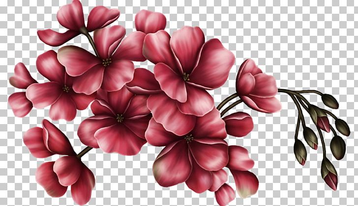 Cut Flowers Floral Design Art PNG, Clipart, Art, Blossom, Cut Flowers, Floral Design, Flower Free PNG Download