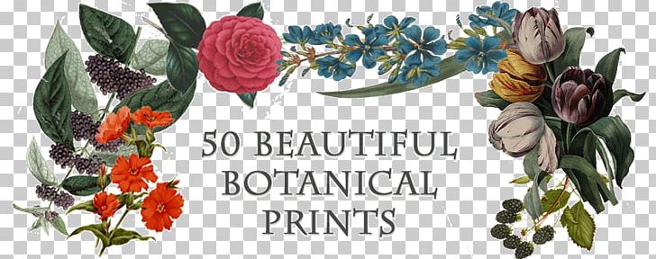 Kew Gardens Lithography Printing Flora PNG, Clipart, Botanical Prints, Botany, Cut Flowers, Flora, Floral Design Free PNG Download