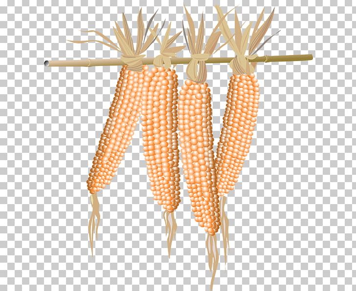 Maize Corn On The Cob Food Sweet Corn PNG, Clipart, Commodity, Corn, Corn Kernel, Corn On The Cob, Crop Free PNG Download