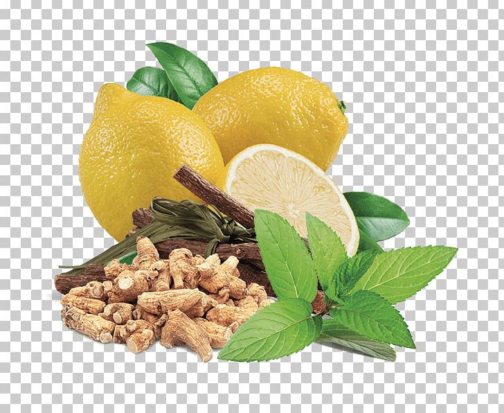 Vegetarian Cuisine Lemon Basil Liquorice Mints PNG, Clipart,  Free PNG Download