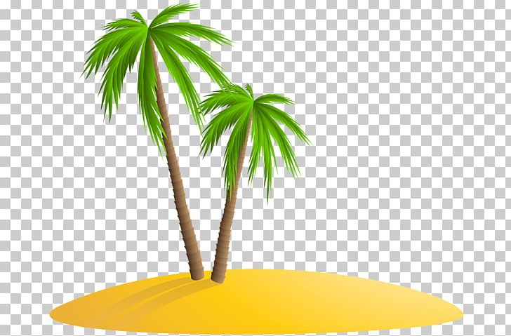 Arecaceae Palm Islands PNG, Clipart, Arecaceae, Arecales, Desktop Wallpaper, Download, Flowerpot Free PNG Download