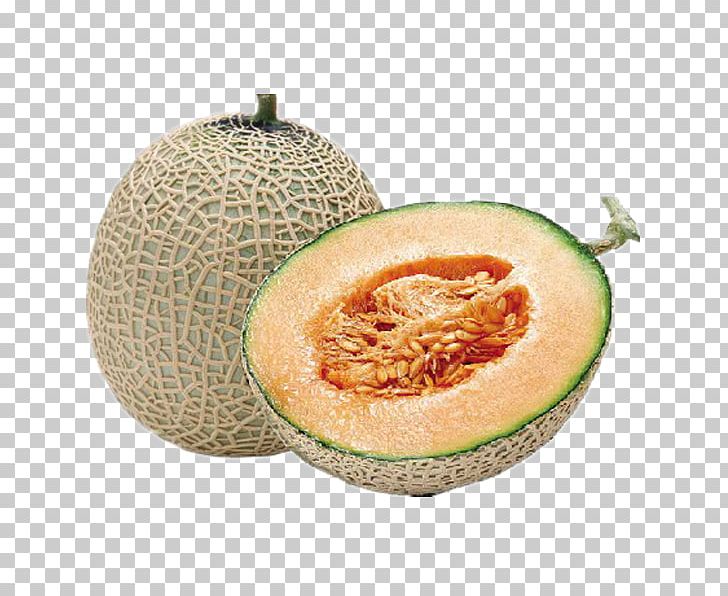 Cantaloupe Canary Melon Honeydew Watermelon PNG, Clipart, Canary Melon, Cucumber Gourd And Melon Family, Cucumis, Desktop Wallpaper, Egusi Free PNG Download