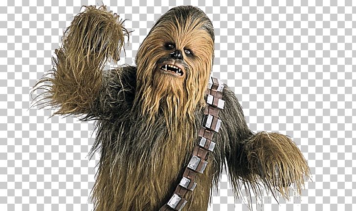 Chewbacca Star Wars Day Wookiee Luke Skywalker PNG, Clipart, Chewbacca, Dog Breed, Fur, Long Hair, Luke Skywalker Free PNG Download