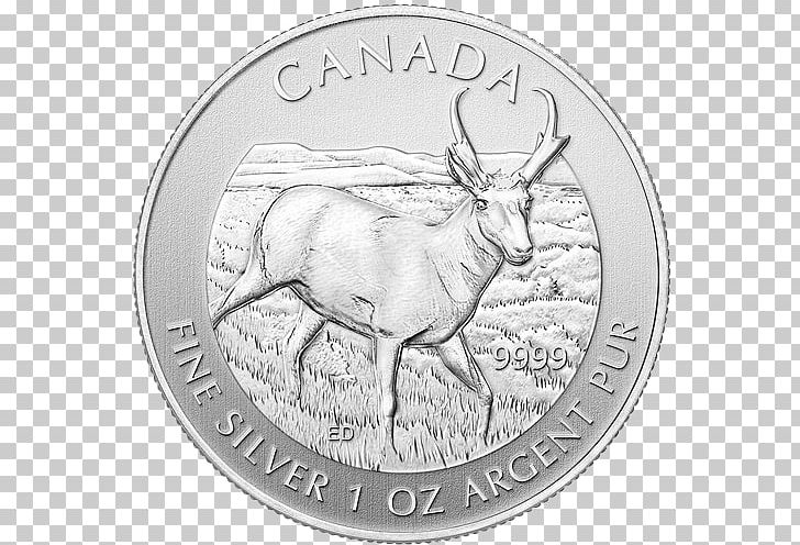 Pronghorn Canada Canadian Wildlife Bullion Coin Royal Canadian Mint PNG, Clipart, Antler, Black And White, Bullion, Bullion Coin, Canada Free PNG Download
