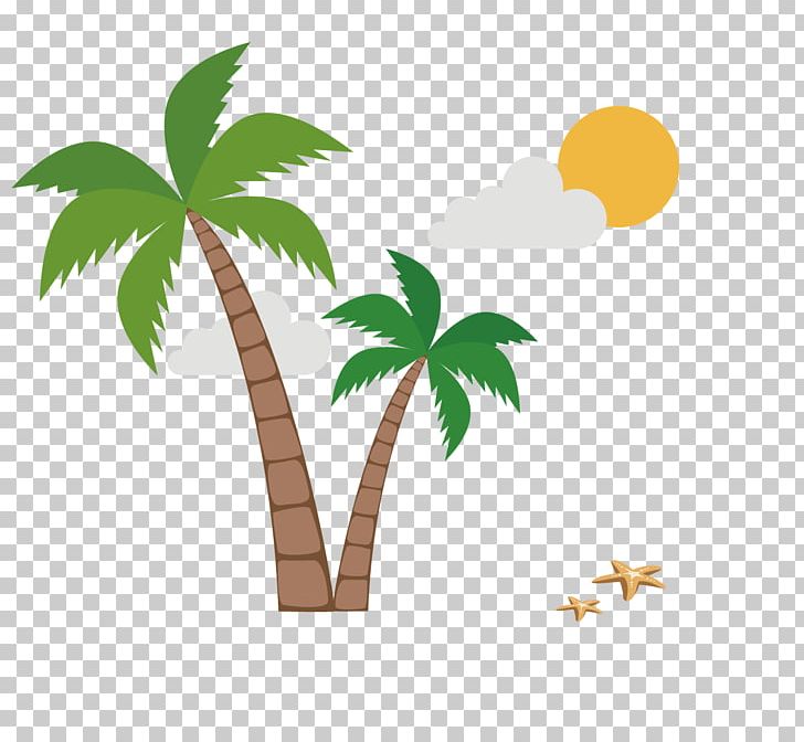 Coconut PNG, Clipart, Animals, Area, Arecaceae, Branch, Christmas Tree Free PNG Download