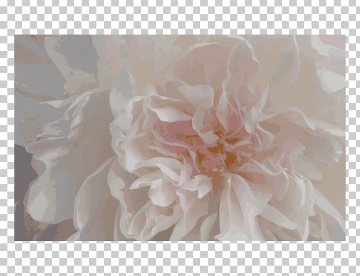 Free Wedding Ceremony Supply Peony Flower PNG, Clipart, Ceremony, Clothing Accessories, Com, Flower, Flowering Plant Free PNG Download