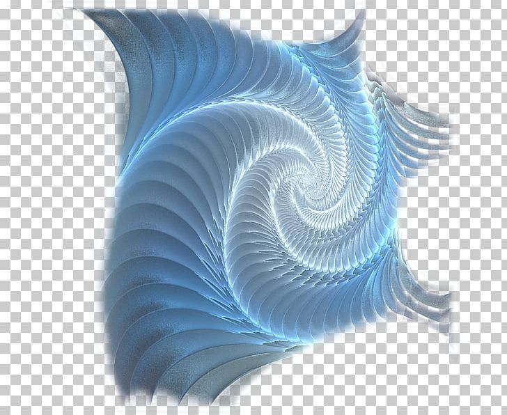 Nautiluses Graphics Line Organism PNG, Clipart, Blue, Clearance Sale 0 0 1, Line, Nautilida, Organism Free PNG Download