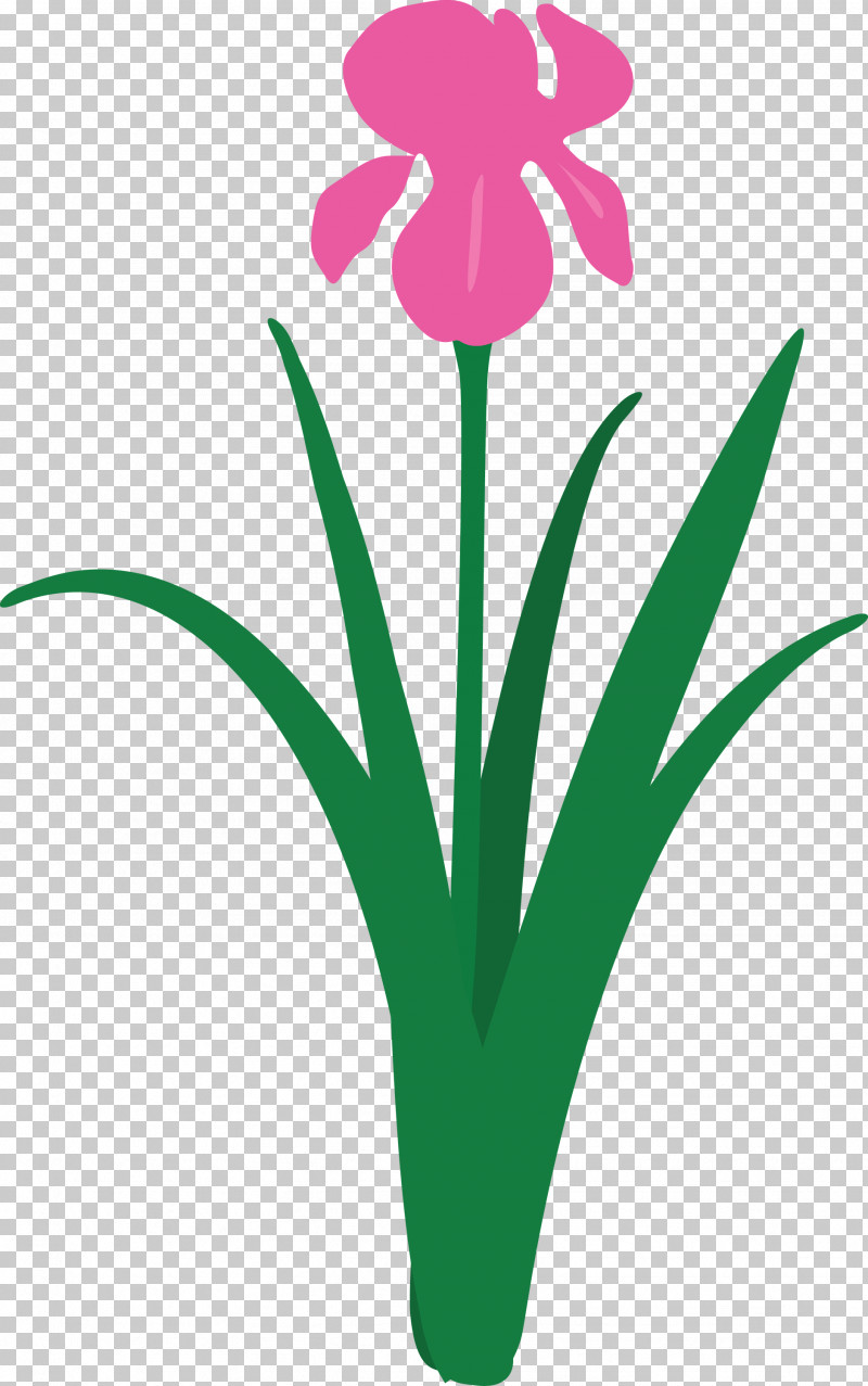 Iris Flower Spring Flower PNG, Clipart, Cut Flowers, Flower, Flowerpot, Iris, Iris Flower Free PNG Download