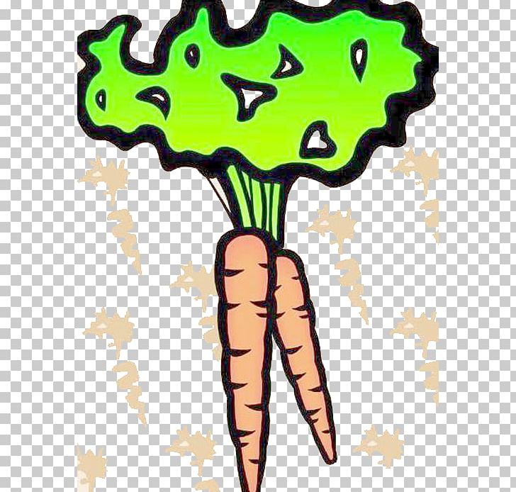 Cartoon Vegetable Illustration PNG, Clipart, Artwork, Auglis, Bunch Of Carrots, Carrot, Carrot Cartoon Free PNG Download