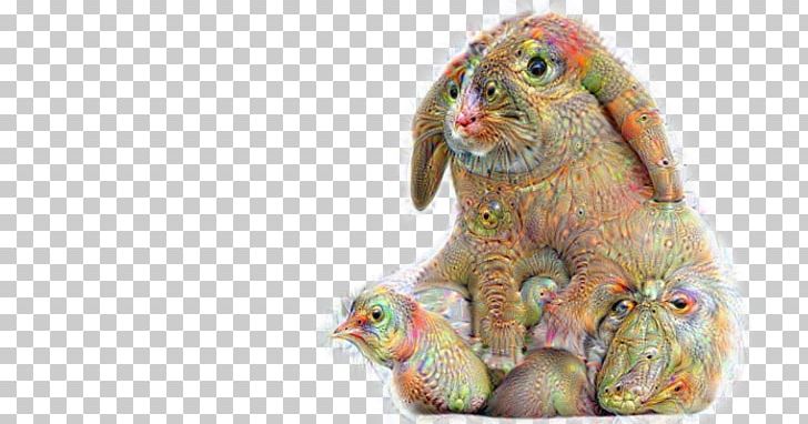 Diergeneeskundig Centrum Maas En Waal Young Living Essential Oil Rabbit PNG, Clipart, Animal, Animal Figure, Aroma Compound, Aromatherapy, Beak Free PNG Download