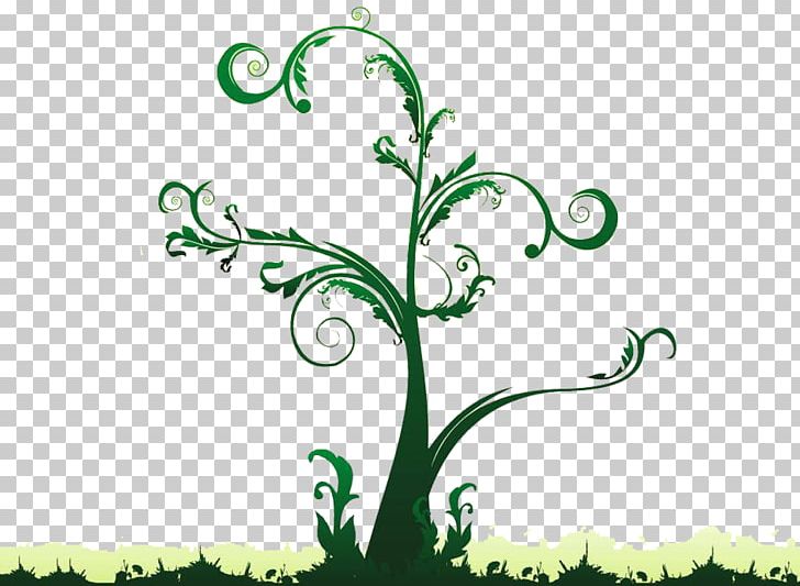 Photography Tree PNG, Clipart, Background Green, Blog, Bloom, Branch, Christmas Tree Free PNG Download