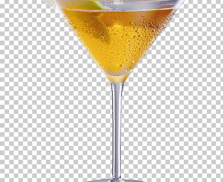 Cocktail Garnish Fizz Liquor Martini PNG, Clipart, Champagne Glass, Champagne Stemware, Citrus Sinensis, Classic Cocktail, Cocktail Free PNG Download