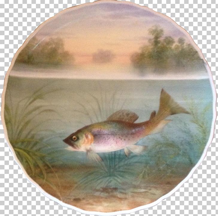 Ecosystem Marine Biology Organism Fauna Fish PNG, Clipart, Animals, Biology, Ecosystem, Fauna, Fish Free PNG Download