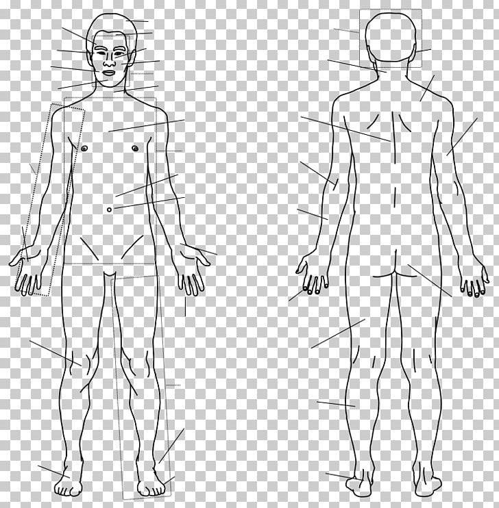 Finger Homo Sapiens Human Body Sketch PNG, Clipart, Abdomen, Angle, Arm, Back, Chest Free PNG Download