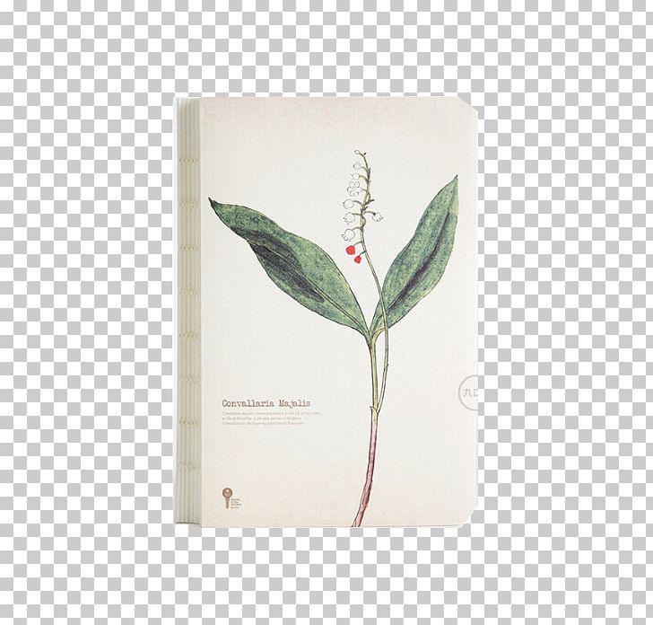 Lily Of The Valley Paper Notebook The Doorbell Rang Diary PNG, Clipart, Aromatic Herbs, Diary, Doorbell Rang, Euclidean Vector, Herb Free PNG Download
