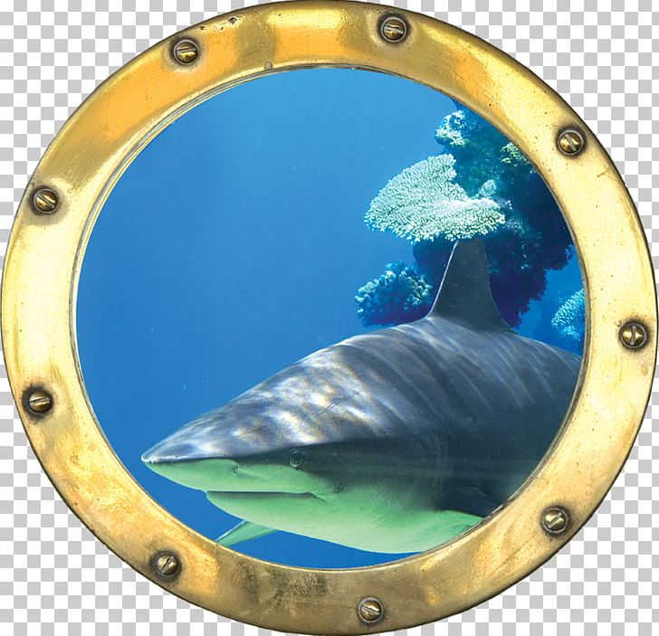 Sticker Porthole Wall Decal Trompe-l'œil Décoration PNG, Clipart,  Free PNG Download