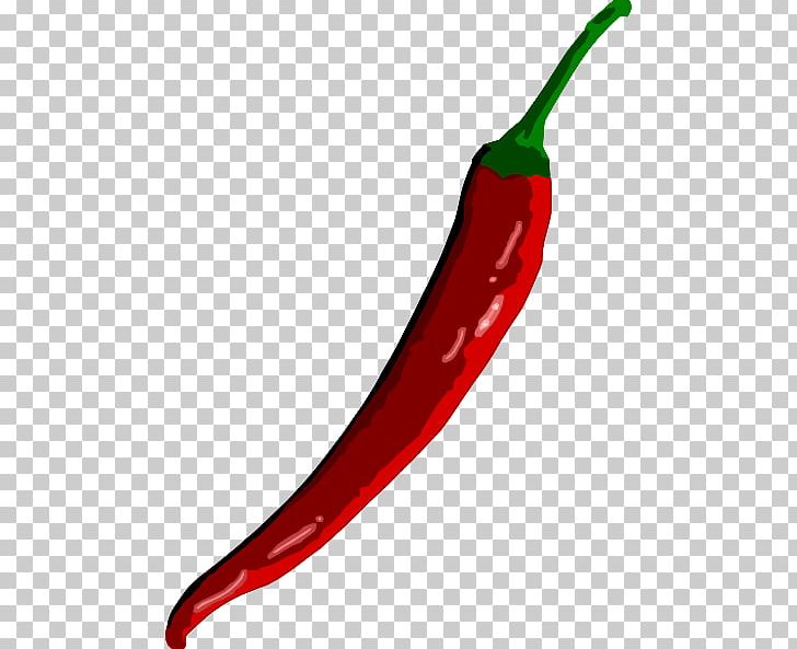 Chili Con Carne Chili Pepper Bell Pepper Cayenne Pepper PNG, Clipart, Bell Pepper, Bell Peppers And Chili Peppers, Birds Eye Chili, Black Pepper, Capsicum Annuum Free PNG Download