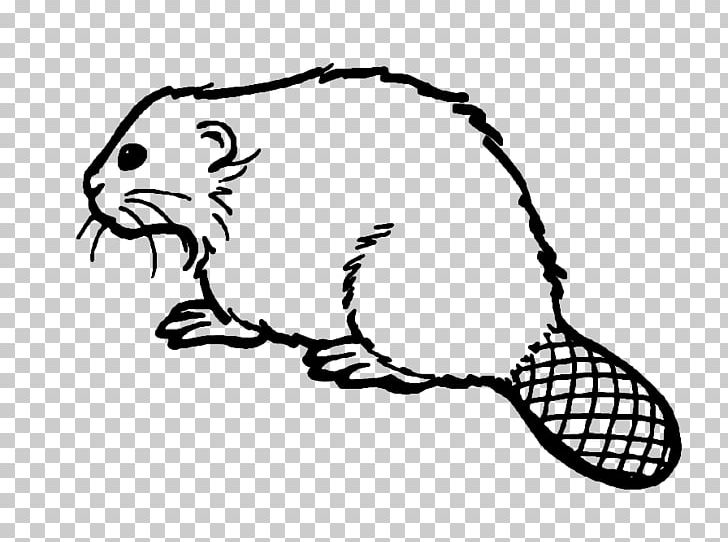 Drawing Cartoon American Beaver PNG, Clipart, Animal, Area, Art, Beaver, Black Free PNG Download
