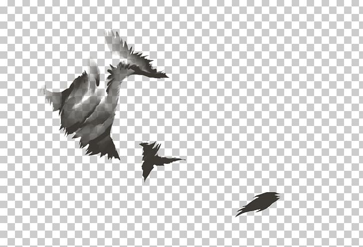 Lion Bird Migration Anatidae Agility PNG, Clipart, Agility, Anatidae, Animal Migration, Animals, Beak Free PNG Download