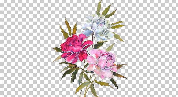 Moutan Peony Flower Silk PNG, Clipart, Art, Blog, Blossom, Color, Cut Flowers Free PNG Download