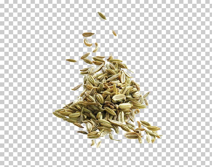 Yogi Tea Avena Hōjicha Fennel PNG, Clipart, Avena, Ayurveda, Centella Asiatica, Chamomile, Commodity Free PNG Download