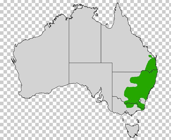 Australia Blank Map United States World Map PNG, Clipart, Angle, Area, Atlas, Australia, Australia Map Free PNG Download
