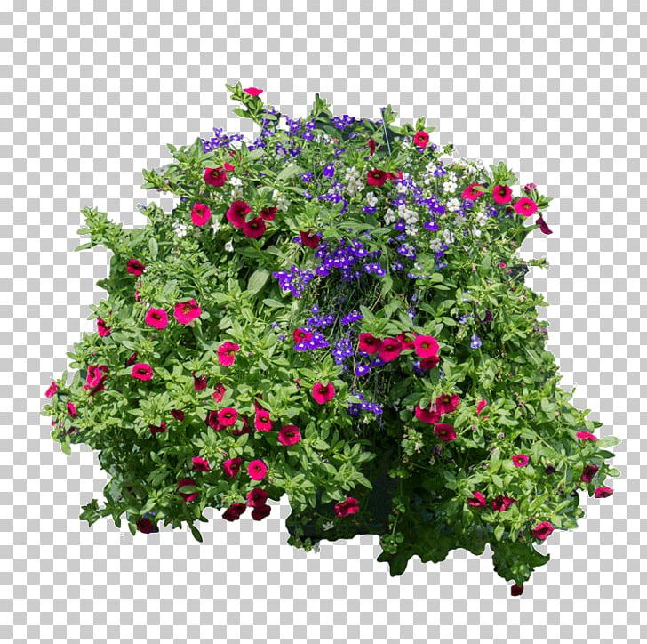 Flower Garden Plant Shrub Artificial Flower PNG, Clipart, Annual Plant, Artificial Flower, Basket, Flora, Flower Free PNG Download