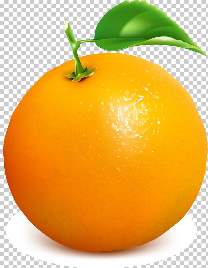 Clementine Juice Mandarin Orange Tangelo Grapefruit PNG, Clipart, Cartoon, Cartoon Fruit, Citrus, Decorative, Food Free PNG Download