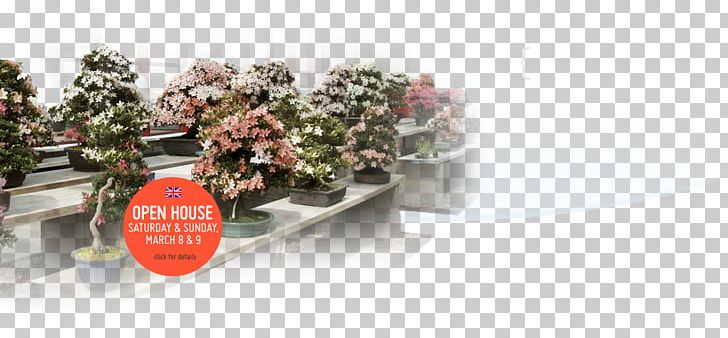 Indoor Bonsai Flowerpot Hoka-en Bonsai Studio Tree PNG, Clipart, Address, Bonsai, Bonsai Sushi, Dutch, Flower Free PNG Download