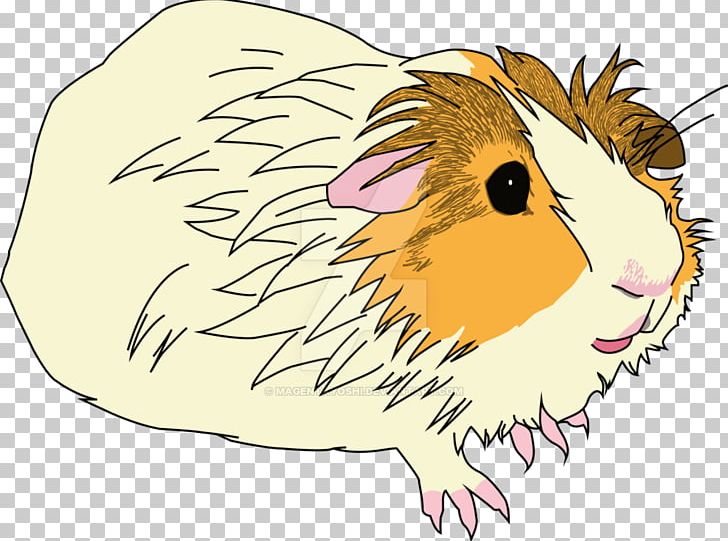 Rodent Guinea Pig Mouse Rat Mammal PNG, Clipart, Animal, Animals, Cartoon, Fauna, Guinea Pig Free PNG Download