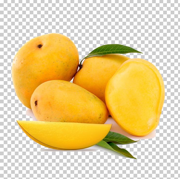 Banganapalle Alphonso Mango Fruit Benishan PNG, Clipart, Alphonso, Alphonso Mango, Banganapalle, Ben, Blueberries Free PNG Download