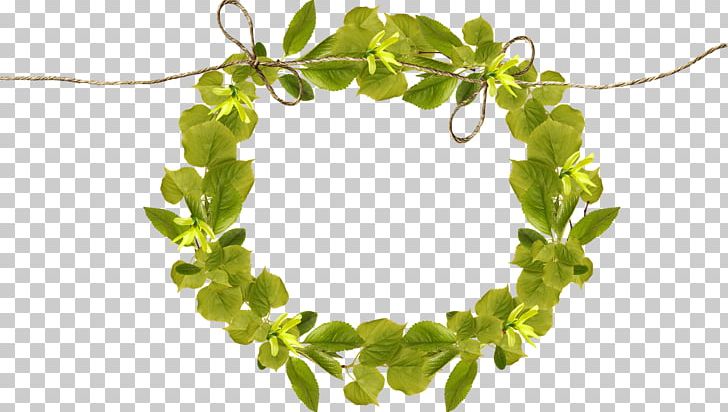 Leaf Frame PNG, Clipart, Autumn Leaves, Branches, Branches And Leaves, Circle, Clip Art Free PNG Download