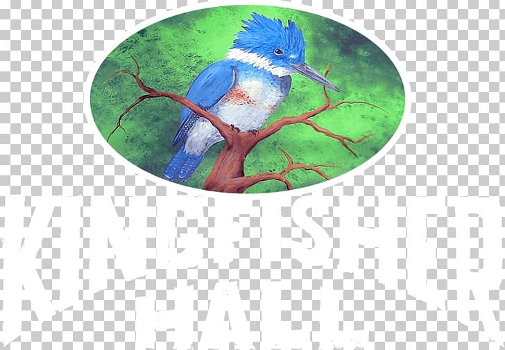 Macaw Cobalt Blue Beak Christmas Ornament PNG, Clipart, Beak, Bird, Blue, Branch, Christmas Free PNG Download