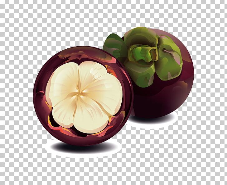 Purple Mangosteen Fruit PNG, Clipart, Clip Art, Download, Element, Encapsulated Postscript, Fruit Free PNG Download