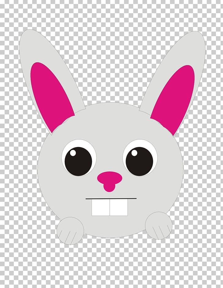 Rabbit Drawing PNG, Clipart, Animal, Animals, Carnivoran, Cartoon, Cat Free PNG Download