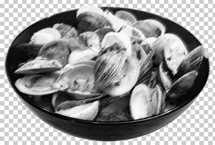 Steamed Clams Mussel Clam Sauce Chowder PNG, Clipart, Animal Source Foods, Black And White, Chowder, Clam, Clam Sauce Free PNG Download