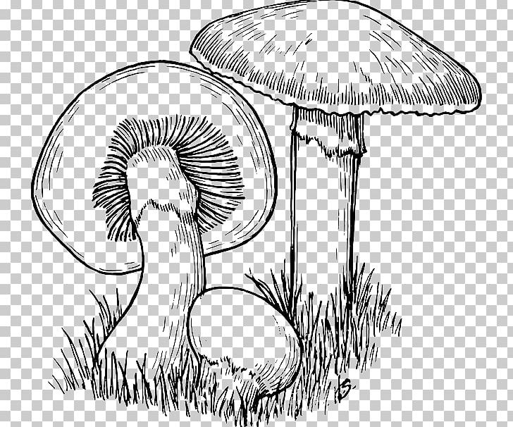 Common Mushroom Drawing PNG, Clipart, Artwork, Black And White, Clip Art, Common Mushroom, Drawing Free PNG Download
