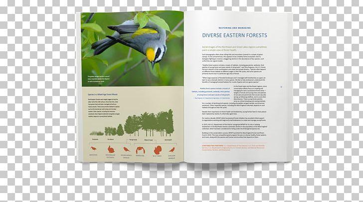 National Fish And Wildlife Foundation Advertising Brand Annual Report PNG, Clipart, Advertising, Annual Report, Brand, Harvest, Others Free PNG Download