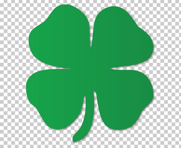 Shamrock Four-leaf Clover Decal Sticker Saint Patrick's Day PNG, Clipart,  Free PNG Download