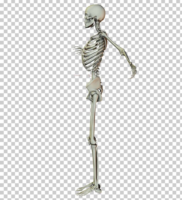 Skeleton Arm Stock Joint Shoulder PNG, Clipart, Arm, Artist, Deviantart, Digital Art, Figurine Free PNG Download