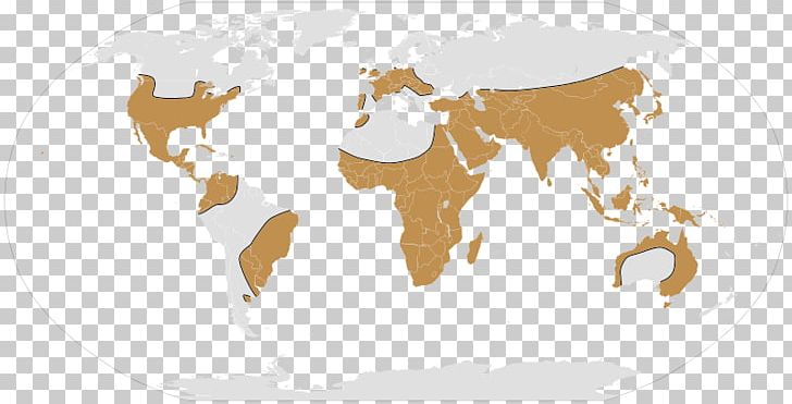 World Map Globe PNG, Clipart, Atlas, Blank Map, Carnivoran, Carte, Cattle Like Mammal Free PNG Download