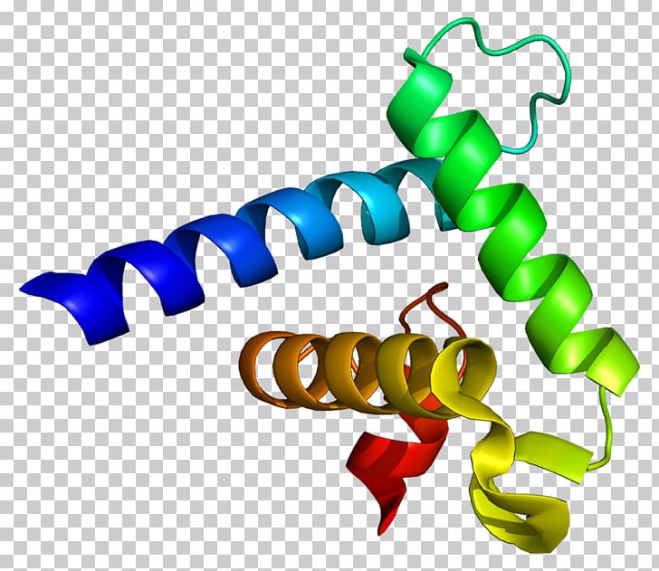 CREB-binding Protein P300-CBP Coactivator Family EP300 PNG, Clipart, Adenovirus Early Region 1a, Amino Acid, Artwork, Binding Protein, Bromodomain Free PNG Download