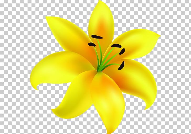 Paper Lilium Yellow Art Flower PNG, Clipart, Art, Child, Collage, Creative Work, Cut Flowers Free PNG Download