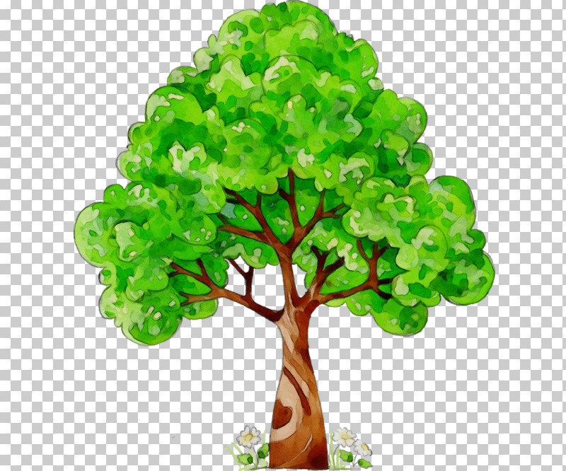 Plélan-le-grand Vladimir Surgical Mask Houseplant Tree PNG, Clipart, 2018, 1000000, Classified Advertising, Houseplant, Mask Free PNG Download