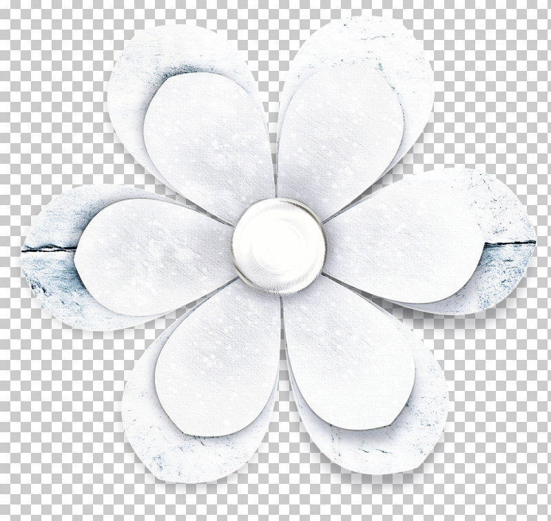 White Petal Plant Flower PNG, Clipart, Flower, Petal, Plant, White Free PNG Download