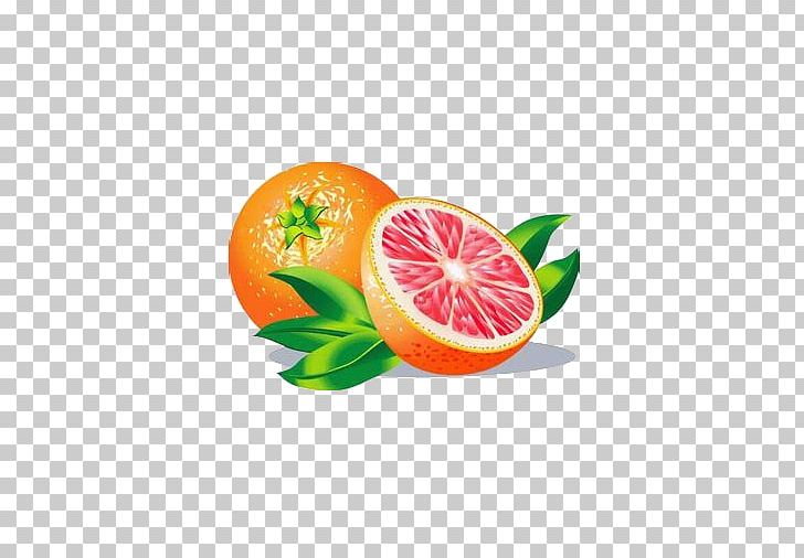 Grapefruit Juice Grapefruit Juice Lemon PNG, Clipart, Citric Acid, Citrus, Diet Food, Euclidean Vector, Food Free PNG Download